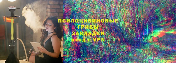 ГАЛЛЮЦИНОГЕННЫЕ ГРИБЫ Остров