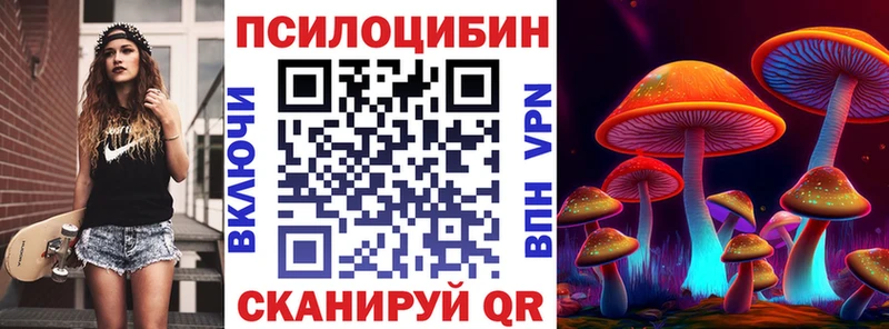 это Telegram  Адыгейск  Галлюциногенные грибы Psilocybine cubensis 