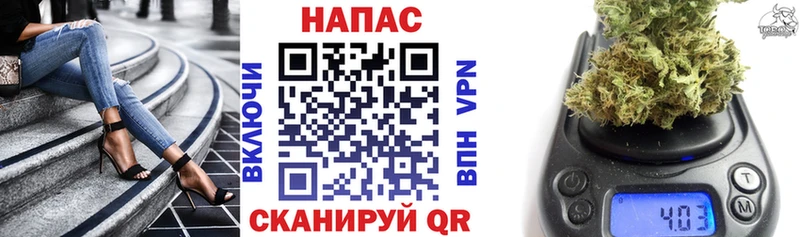 Канабис OG Kush  Адыгейск 